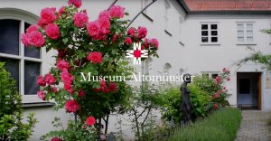 Gitarrenmusik zum Video &quot;Klostermuseum Altomünster&quot;